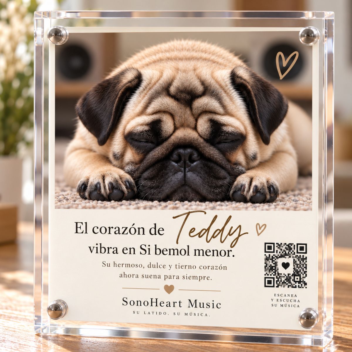 pug cuadro